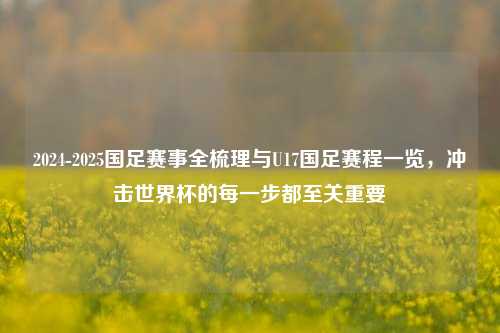 2024-2025国足赛事全梳理与U17国足赛程一览,冲击世界杯的每一步都至关重要
