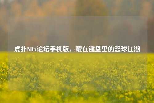 虎扑NBA论坛手机版,藏在键盘里的篮球江湖