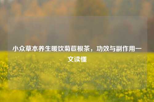 小众草本养生暖饮菊苣根茶,功效与副作用一文读懂