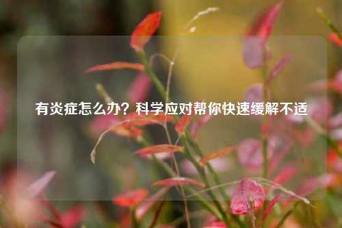 有炎症怎么办?科学应对帮你快速缓解不适
