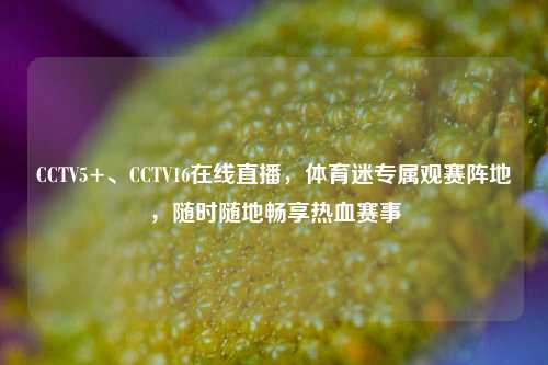 CCTV5+、CCTV16在线直播，体育迷专属观赛阵地，随时随地畅享热血赛事
