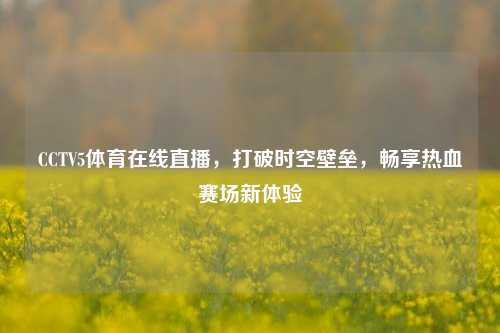 CCTV5体育在线直播,打破时空壁垒,畅享热血赛场新体验