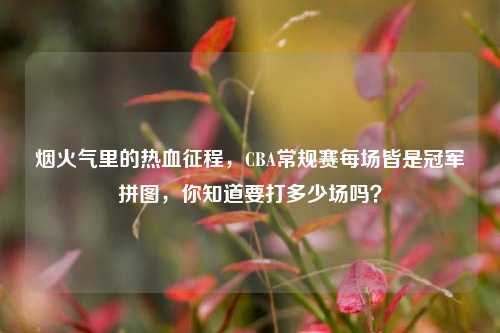 烟火气里的热血征程，CBA常规赛每场皆是冠军拼图，你知道要打多少场吗？