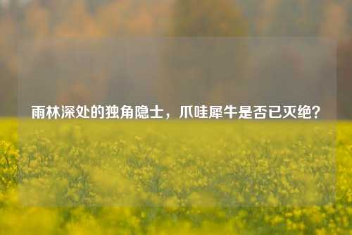 雨林深处的独角隐士,爪哇犀牛是否已灭绝?