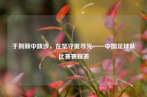 于荆棘中跋涉，在坚守里寻光——中国足球队比赛赛程表