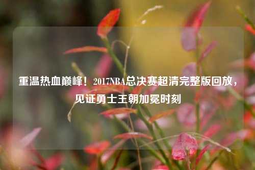 重温热血巅峰!2017NBA总决赛超清完整版回放,见证勇士王朝加冕时刻