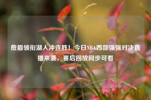 詹眉领衔湖人冲连胜！今日NBA西部强强对决直播来袭，赛后回放同步可看