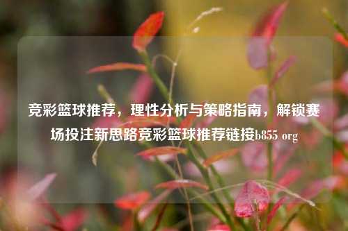 竞彩篮球推荐,理性分析与策略指南,解锁赛场投注新思路竞彩篮球推荐链接b855 org