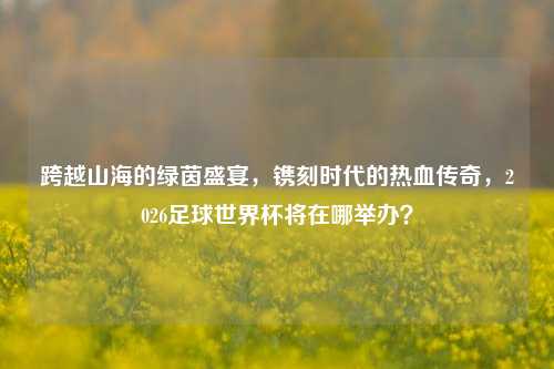 跨越山海的绿茵盛宴,镌刻时代的热血传奇,2026足球世界杯将在哪举办?