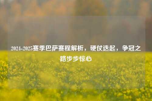 2024-2025赛季巴萨赛程解析,硬仗迭起,争冠之路步步惊心