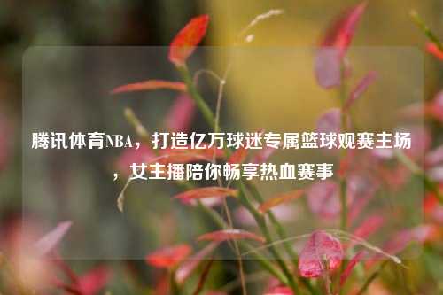 腾讯体育NBA,打造亿万球迷专属篮球观赛主场,女主播陪你畅享热血赛事