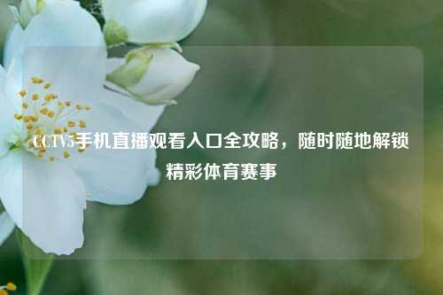 CCTV5手机直播观看入口全攻略,随时随地解锁精彩体育赛事