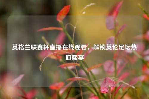 英格兰联赛杯直播在线观看，解锁英伦足坛热血盛宴