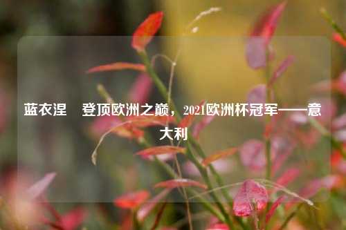 蓝衣涅槃登顶欧洲之巅,2021欧洲杯冠军——意大利