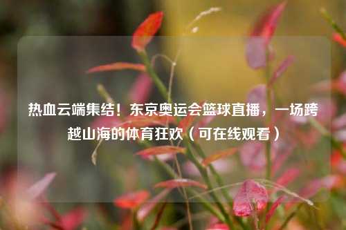 热血云端集结！东京奥运会篮球直播，一场跨越山海的体育狂欢（可在线观看）