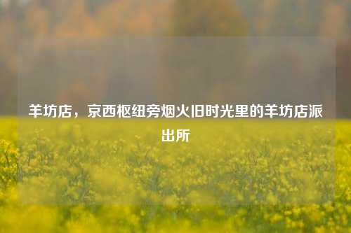 羊坊店,京西枢纽旁烟火旧时光里的羊坊店派出所