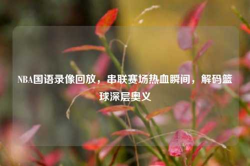 NBA国语录像回放,串联赛场热血瞬间,解码篮球深层奥义