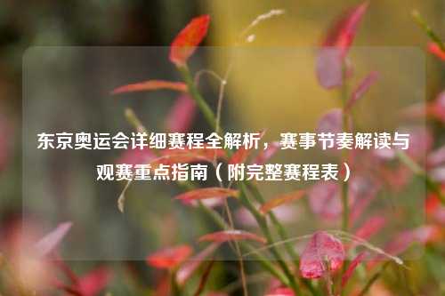 东京奥运会详细赛程全解析，赛事节奏解读与观赛重点指南（附完整赛程表）