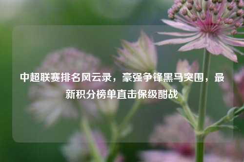 中超联赛排名风云录,豪强争锋黑马突围,最新积分榜单直击保级酣战