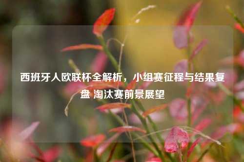 西班牙人欧联杯全解析,小组赛征程与结果复盘 淘汰赛前景展望