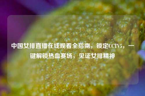 中国女排直播在线观看全指南,锁定CCTV5,一键解锁热血赛场,见证女排精神