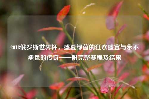 2018俄罗斯世界杯,盛夏绿茵的狂欢盛宴与永不褪色的传奇——附完整赛程及结果