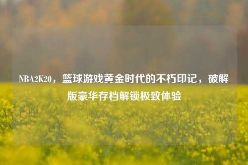 NBA2K20,篮球游戏黄金时代的不朽印记,破解版豪华存档解锁极致体验