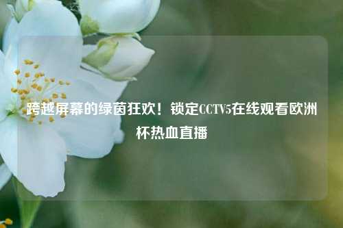 跨越屏幕的绿茵狂欢！锁定CCTV5在线观看欧洲杯热血直播