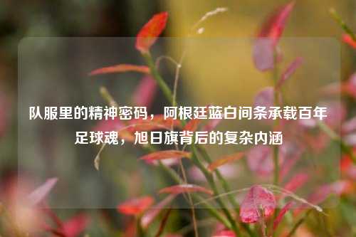 队服里的精神密码,阿根廷蓝白间条承载百年足球魂,旭日旗背后的复杂内涵
