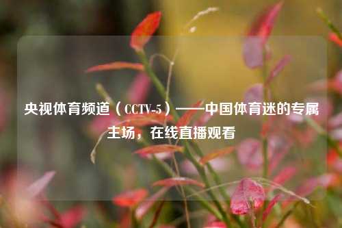 央视体育频道（CCTV-5）——中国体育迷的专属主场，在线直播观看