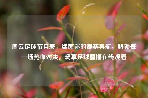 风云足球节目表，绿茵迷的观赛导航，解锁每一场热血对决，畅享足球直播在线观看