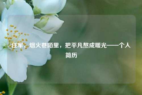 任军,烟火巷陌里,把平凡熬成暖光——个人简历