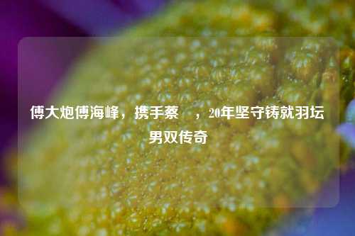 傅大炮傅海峰,携手蔡赟,20年坚守铸就羽坛男双传奇