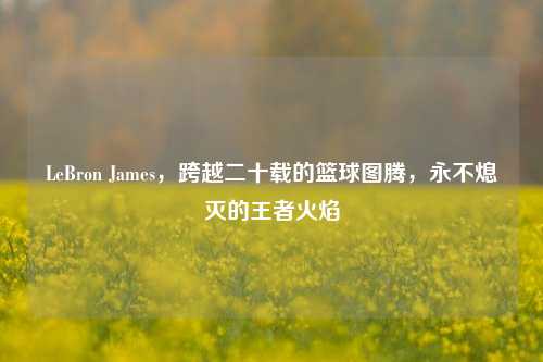 LeBron James,跨越二十载的篮球图腾,永不熄灭的王者火焰