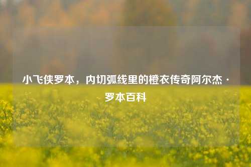 小飞侠罗本,内切弧线里的橙衣传奇阿尔杰·罗本百科