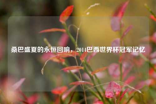 桑巴盛夏的永恒回响，2014巴西世界杯冠军记忆