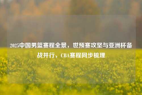 2025中国男篮赛程全景,世预赛攻坚与亚洲杯备战并行,CBA赛程同步梳理