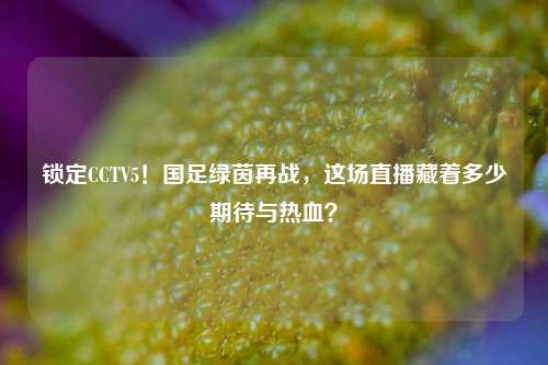 锁定CCTV5！国足绿茵再战，这场直播藏着多少期待与热血？