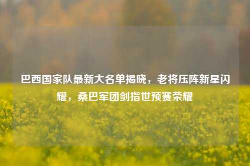 巴西国家队最新大名单揭晓，老将压阵新星闪耀，桑巴军团剑指世预赛荣耀