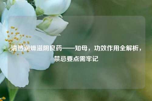 清热润燥滋阴良药——知母,功效作用全解析,禁忌要点需牢记