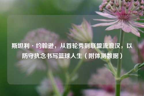 斯坦利·约翰逊,从首轮秀到联盟流浪汉,以防守执念书写篮球人生(附体测数据)