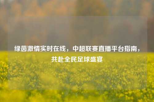 绿茵激情实时在线,中超联赛直播平台指南,共赴全民足球盛宴
