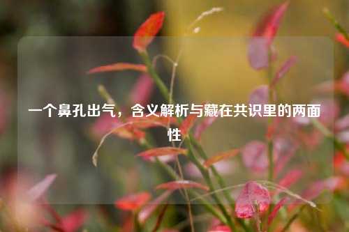 一个鼻孔出气,含义解析与藏在共识里的两面性