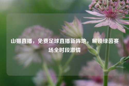 山猫直播,免费足球直播新阵地,解锁绿茵赛场全时段激情