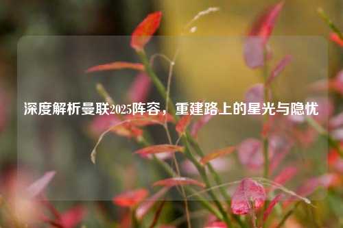 深度解析曼联2025阵容,重建路上的星光与隐忧