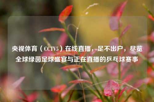 央视体育(CCTV5)在线直播,足不出户,尽览全球绿茵足球盛宴与正在直播的乒乓球赛事
