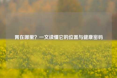 胃在哪里?一文读懂它的位置与健康密码