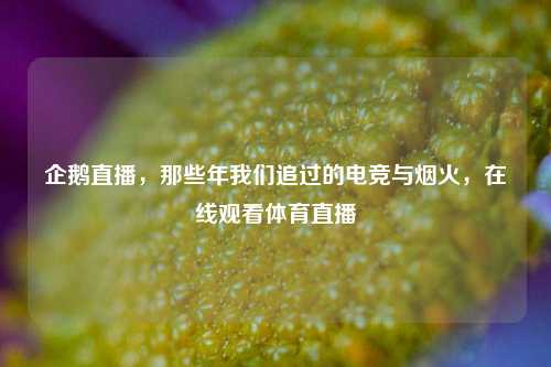 企鹅直播,那些年我们追过的电竞与烟火,在线观看体育直播