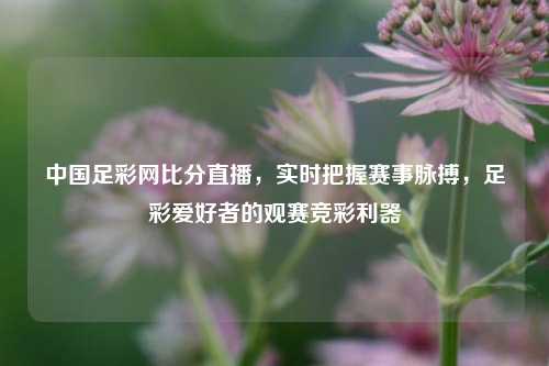 中国足彩网比分直播,实时把握赛事脉搏,足彩爱好者的观赛竞彩利器