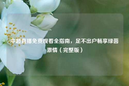 中超直播免费观看全指南,足不出户畅享绿茵激情(完整版)